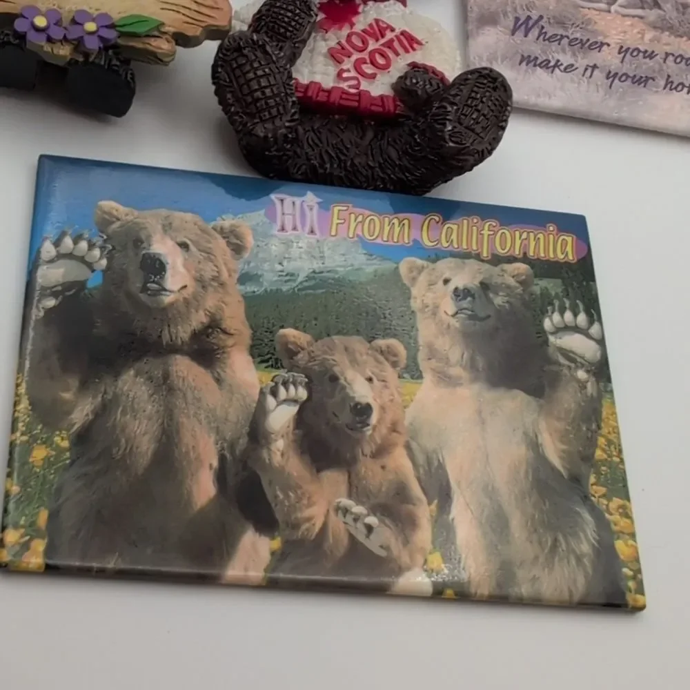 Vintage woodsy bear nature‎ buffalo magnets kitschy novelty